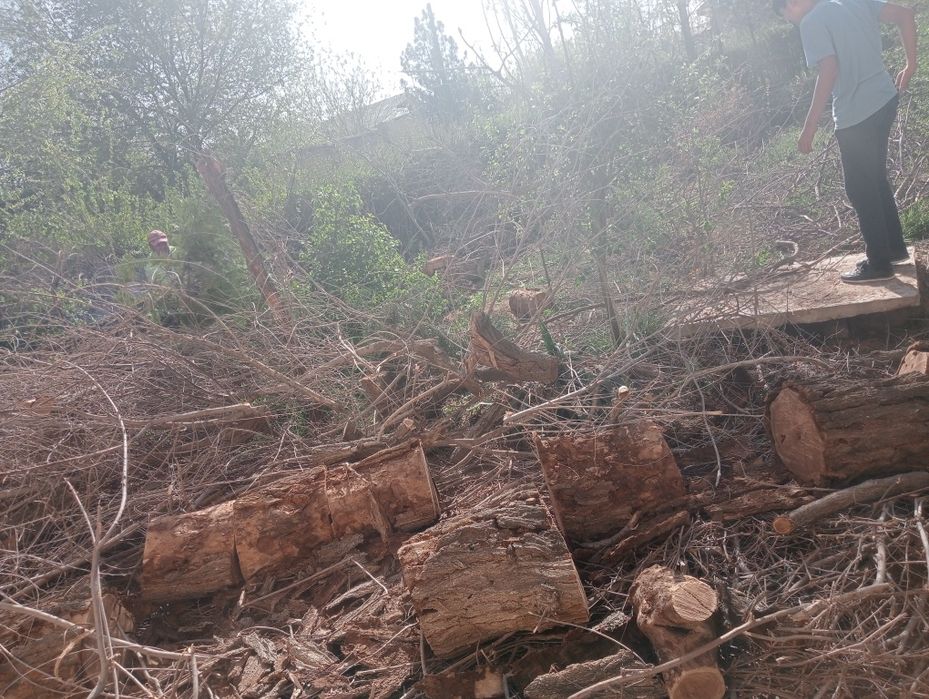 Кунда ва утинлар сотилади