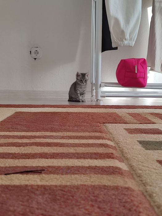 продается 3000 тг