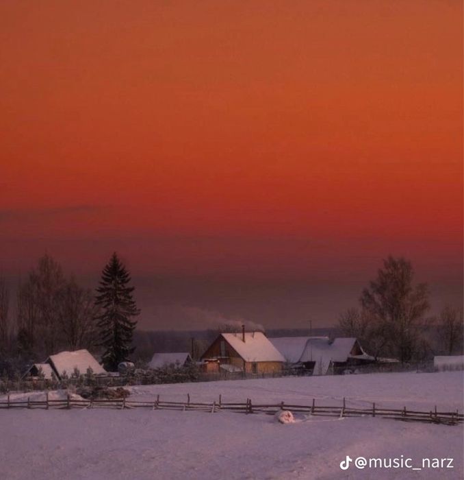 Опытные грузчики со стажем