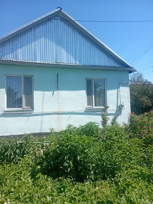 Продам дом-усадьбу