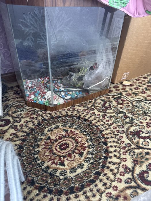 Продам аквариум за 5000