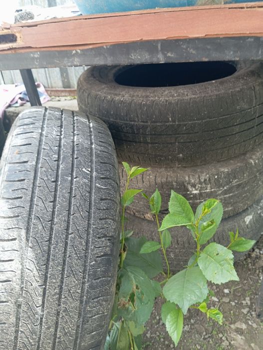 Продам срочно 23