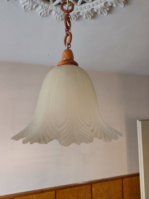 Два красиви полилея