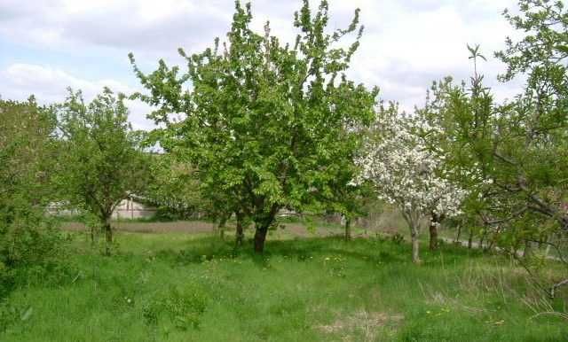 Продава се Къща в с. Ведрина, Област Добрич - 70 кв.м за 343 €/кв.м - Снимка #4