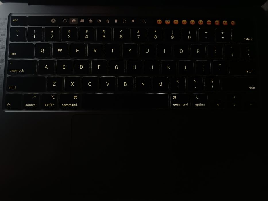 MacBook Pro 13" (2020) / 256/8, Intel Chip