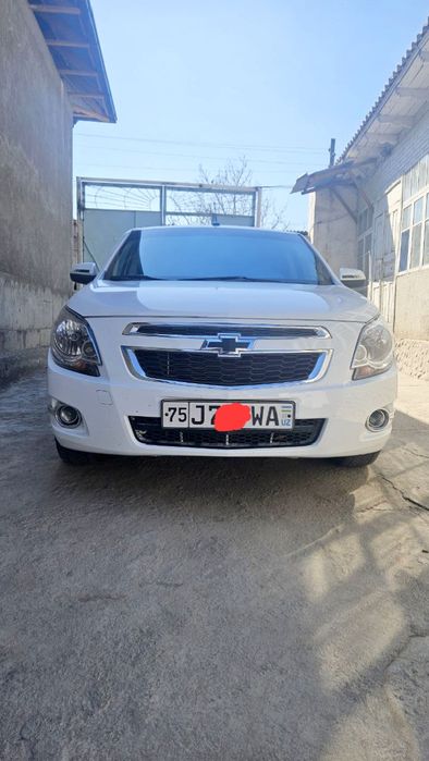 Коблт сотлади 2024