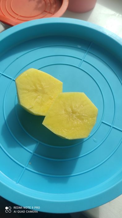Продаю домашнюю картошку