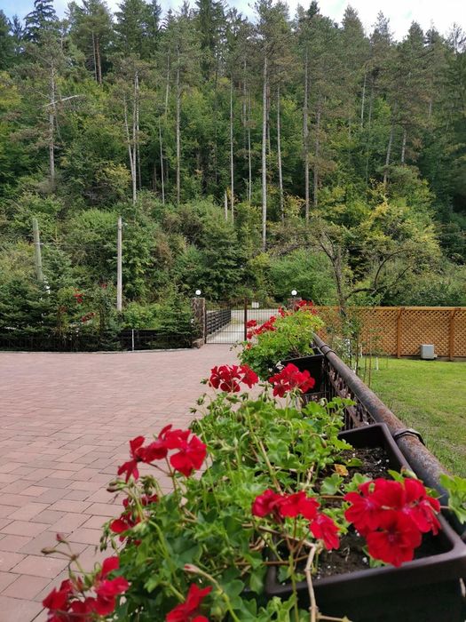 Casă de vacanță Piatra Neamț