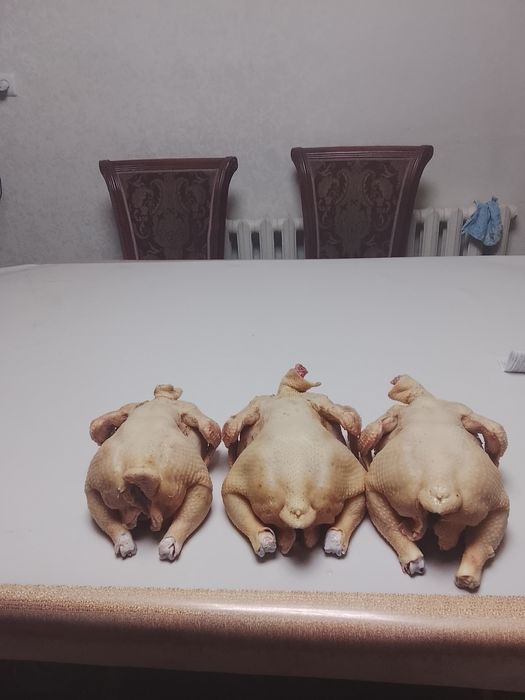 Продается куры бройлер