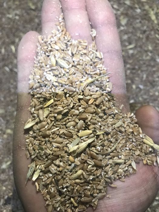 Кебек Отруби Жем зерноотходы