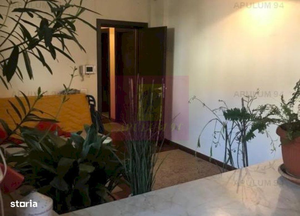 Vila Floreasca- Barbu Vacarescu- stradal.