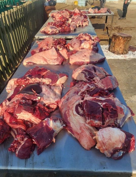 Соғым жілік 2700тг кун сайын