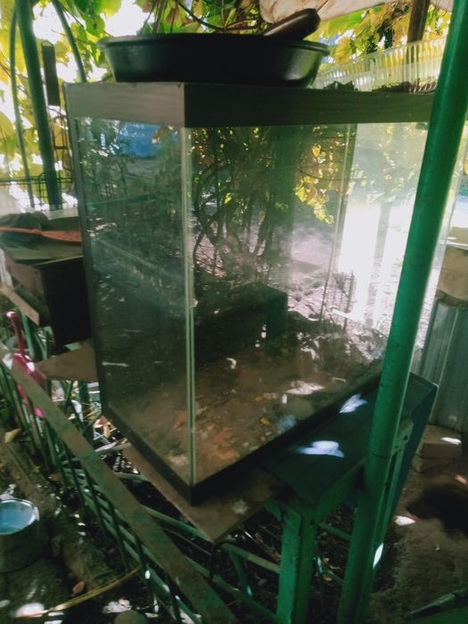 Продаются два аквариума