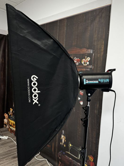 Blitz studio Dynaphos QS300II Expert