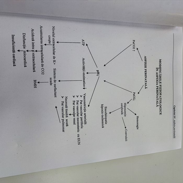 Neonatologie probleme actuale