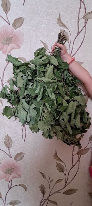 Веники для бани дуб