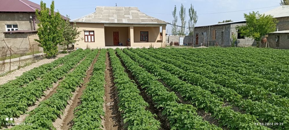 Продам дом 10 соток. Полностью благоустроен. 4 комнаты.