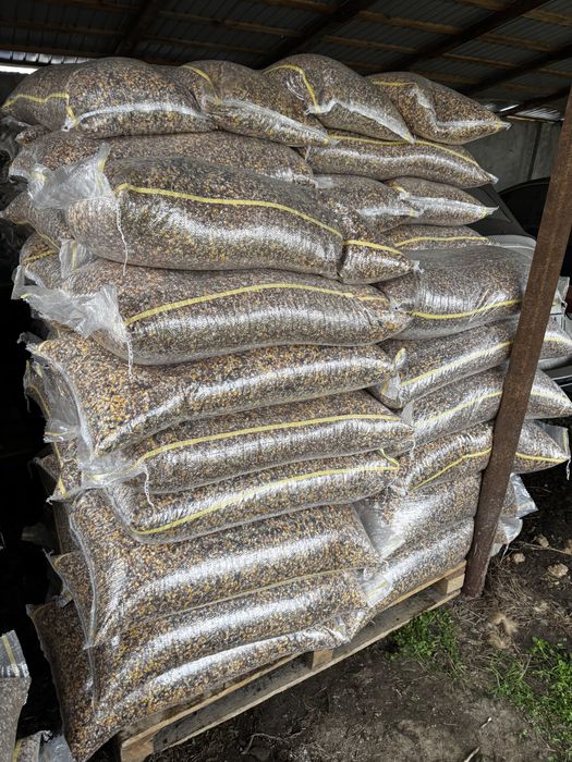 Hrana porumbei, catei, pisici