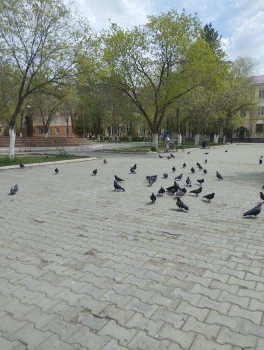 Продам квартиру 2 х комн