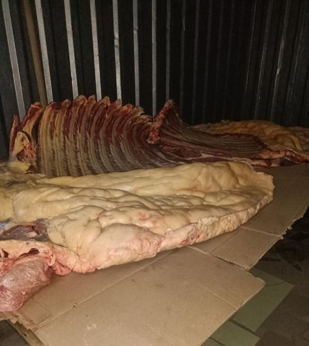 Жылкы ет , мясо конины