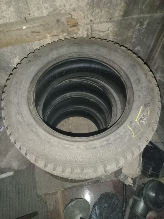 Продам шины зима