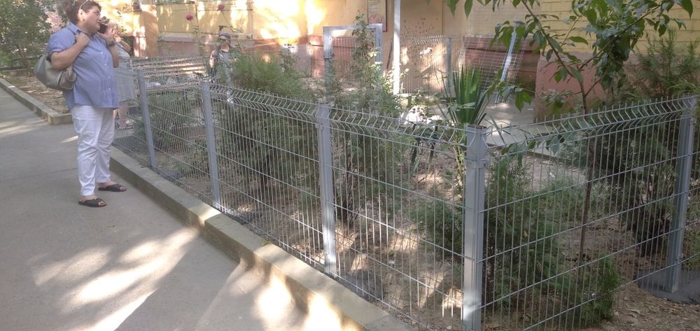 3D Setkalar eng arzon narxlarda