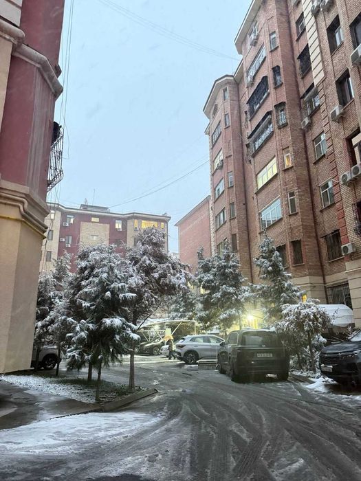 Дуплекс 273м², 7-8/8, Мирабад, Чехова, кадастр `