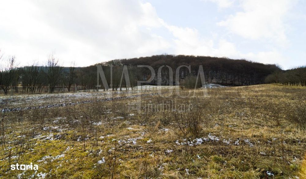 Teren extravilan pentru constructii de vanzare in Popesti