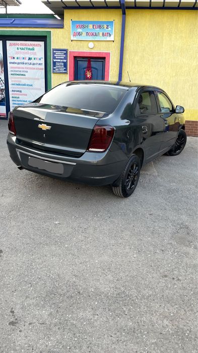 Cobalt Midnight 2024/25