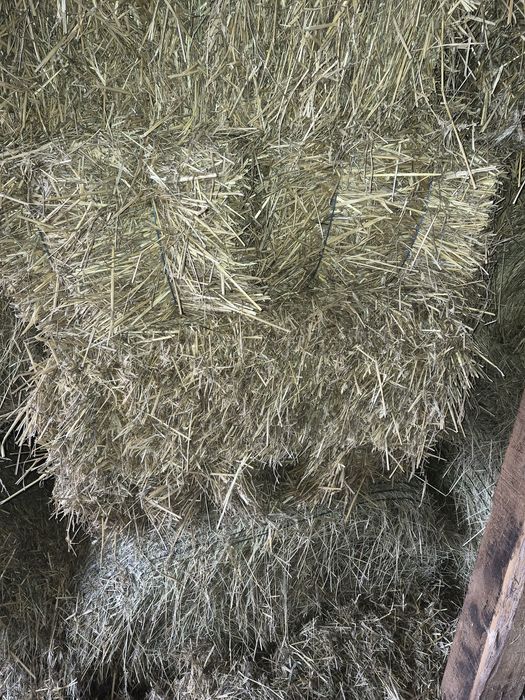 Baloti rotunzi mari de fan 120x120 dimensiune si baloti mici de paie