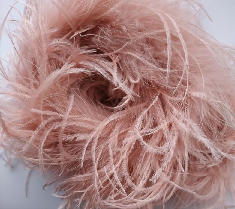 Веер из перьев