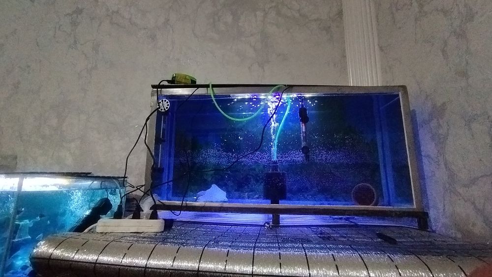 Akvarium oʻzi sotilad