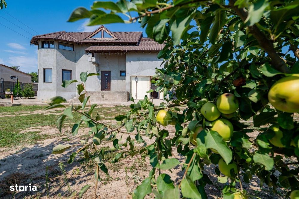 Casa P+M | 5 Camere | Teren 1000 Mp