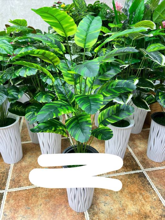 maktab uchun gullar skidkada