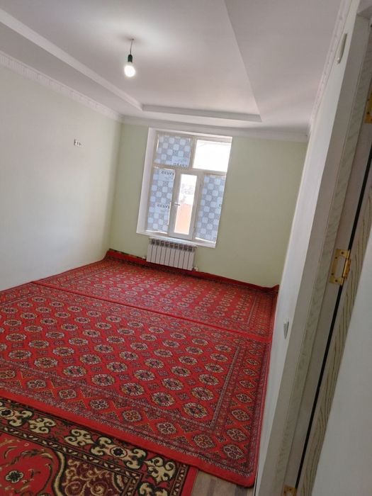 Urganch ijara kvartira darital yoni. Qorin tuyoq orqasi