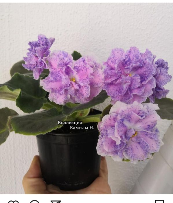 Продам горшки для цветов