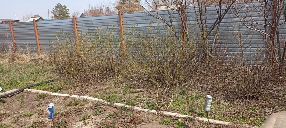 Продам дачу в Цветущем саду