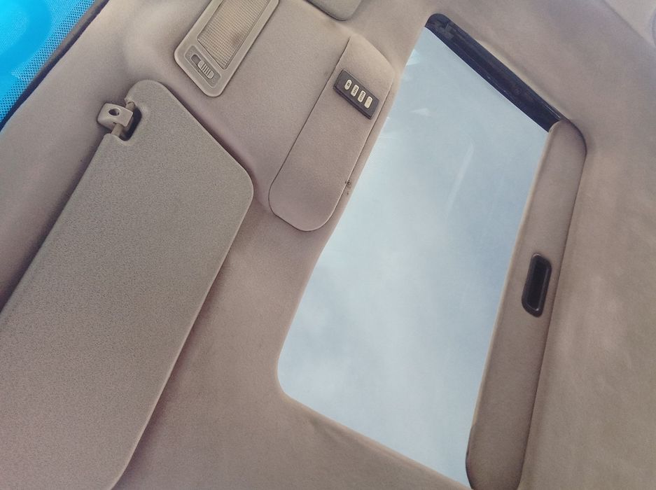 Nexia 1 dons ekspert