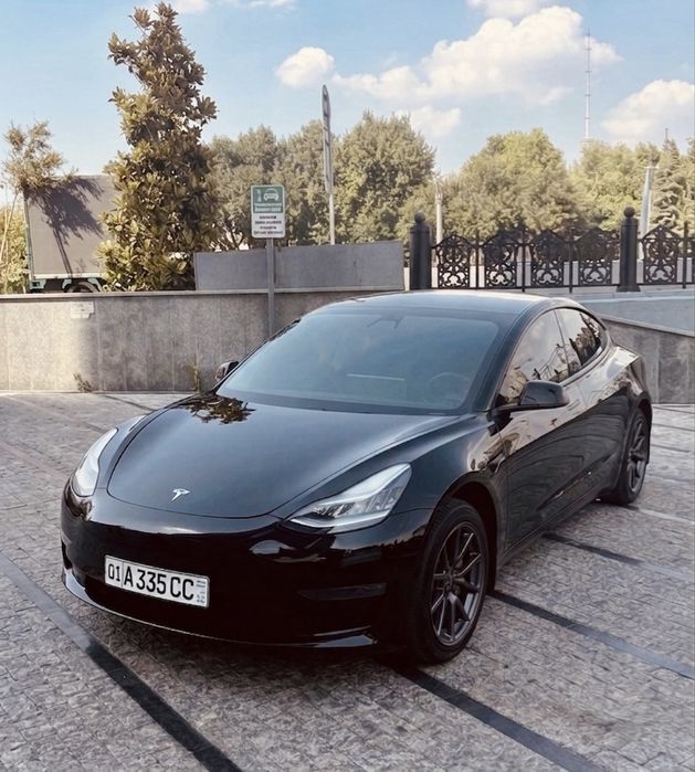 Tesla Model 3 Standart Plus 2020 USA