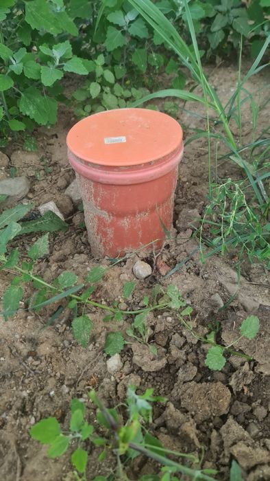 Teren intravilan Jiblea Nouă. Călimănești 6558m