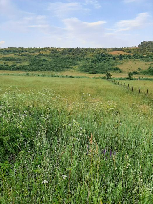 Vand teren in Sat Pata , cu front 40m, utilitati : apa, canalizare 2900mp