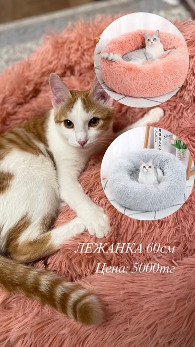 Лежанка для кошек и собак 60 см