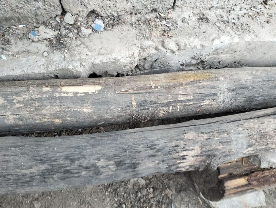 Тусин холати зур donasi 150000