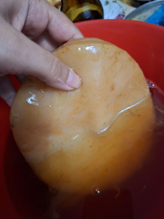 kombucha cu instrucțiuni și stater