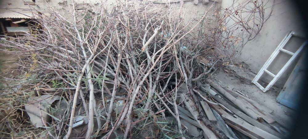 Утин   сотилади.