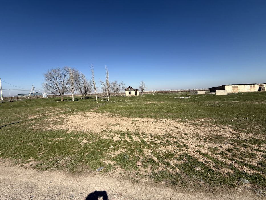 Продаётся Фазенда,