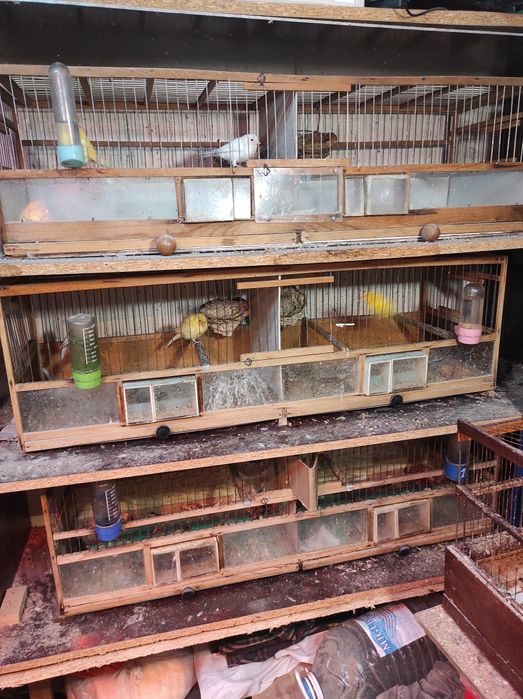 Прода шкаф для развидение