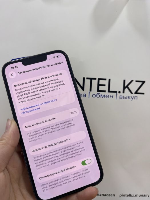 Iphone 13 Pro 256 Gb Pintel