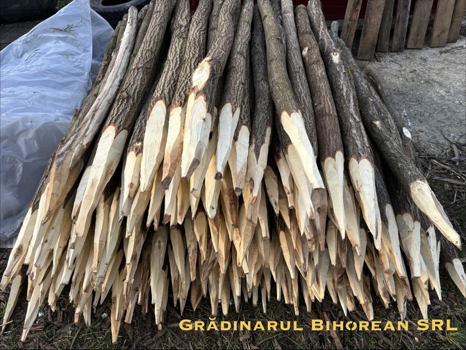 Pari / Tarusi / Araci , pentru gard electric (Oferta) .