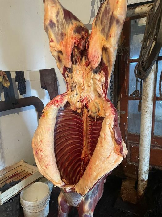 Байтал Кунажын.